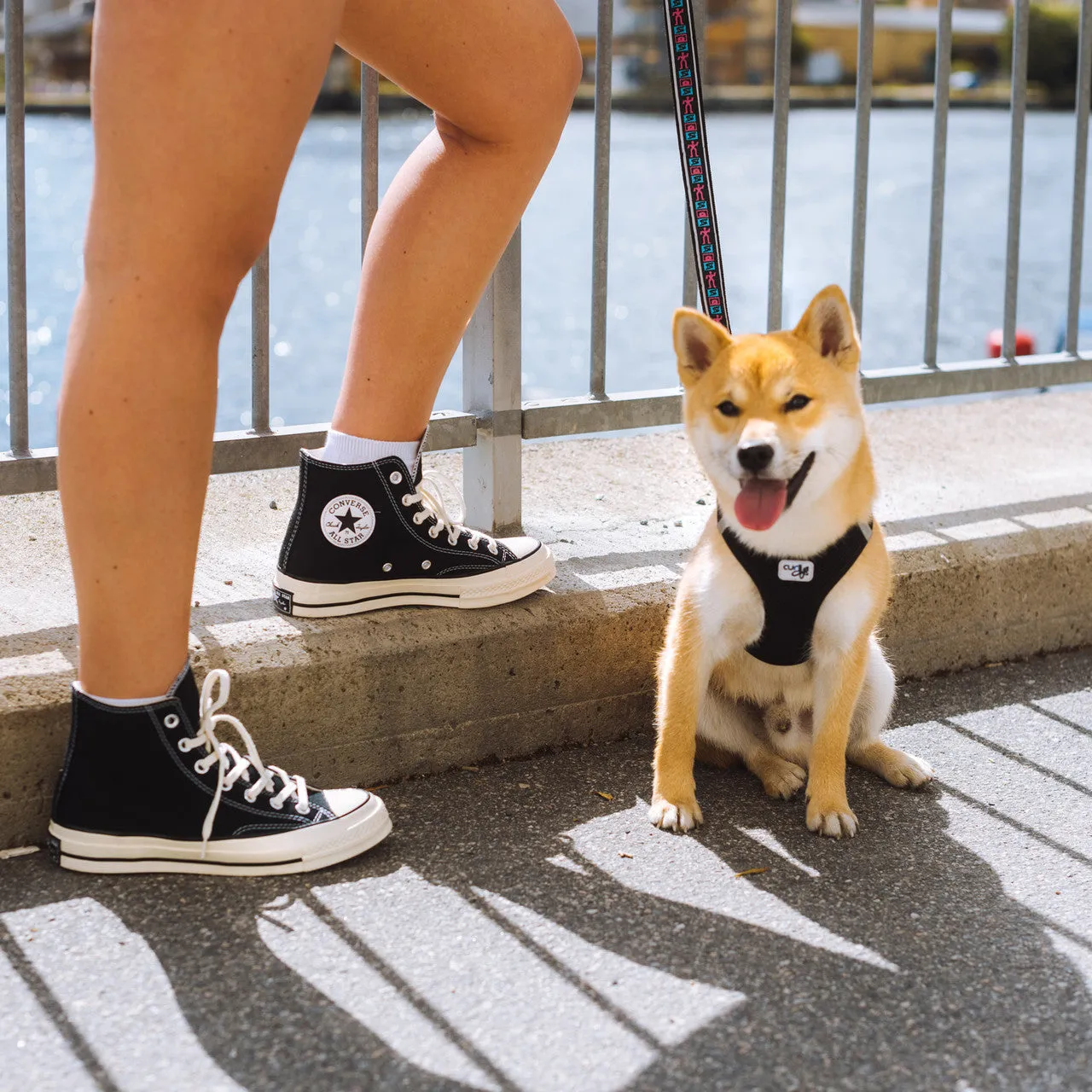 Chuck Taylor 70 Hi Daily Training