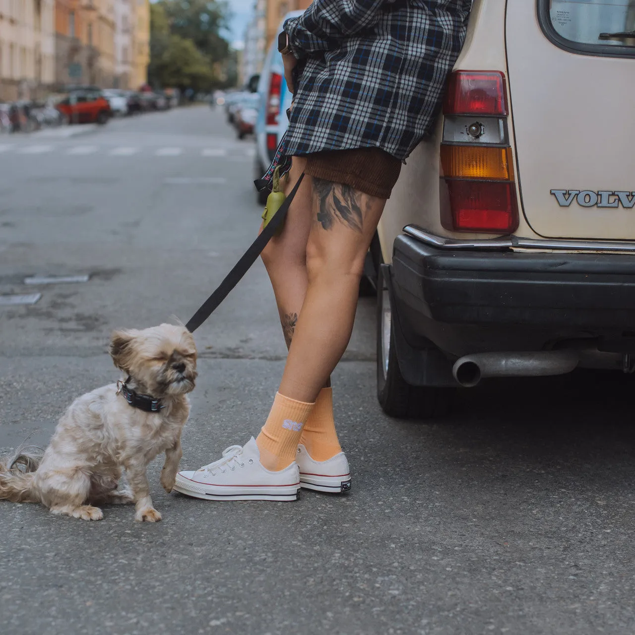Chuck Taylor 70 Ox All Gender Superior Cushioning