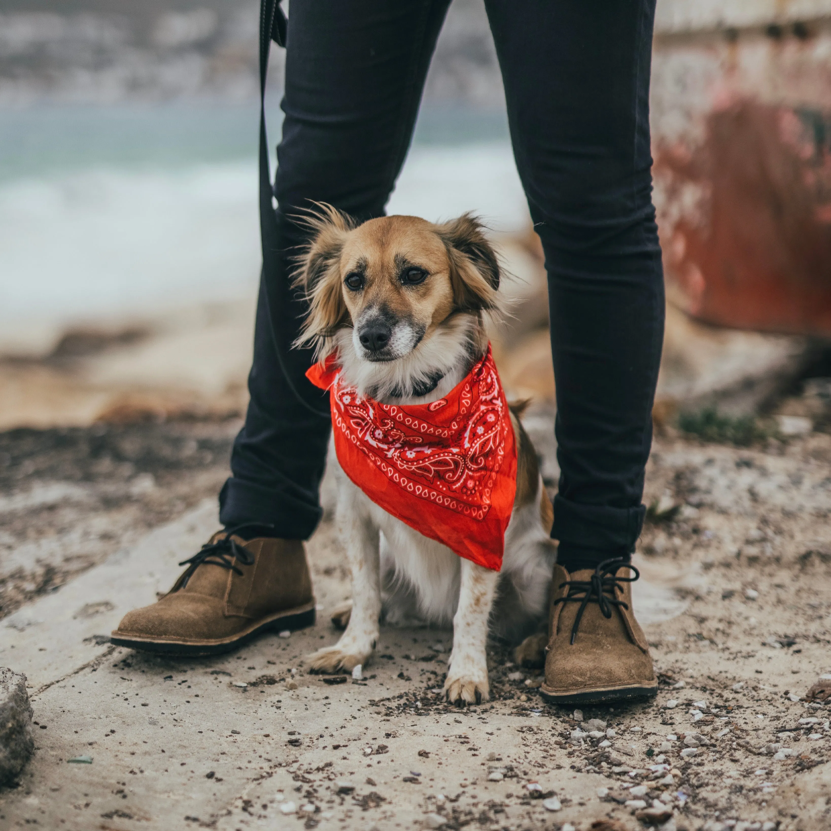 Breathable Trail Runner Heritage Safari (Black Sole)