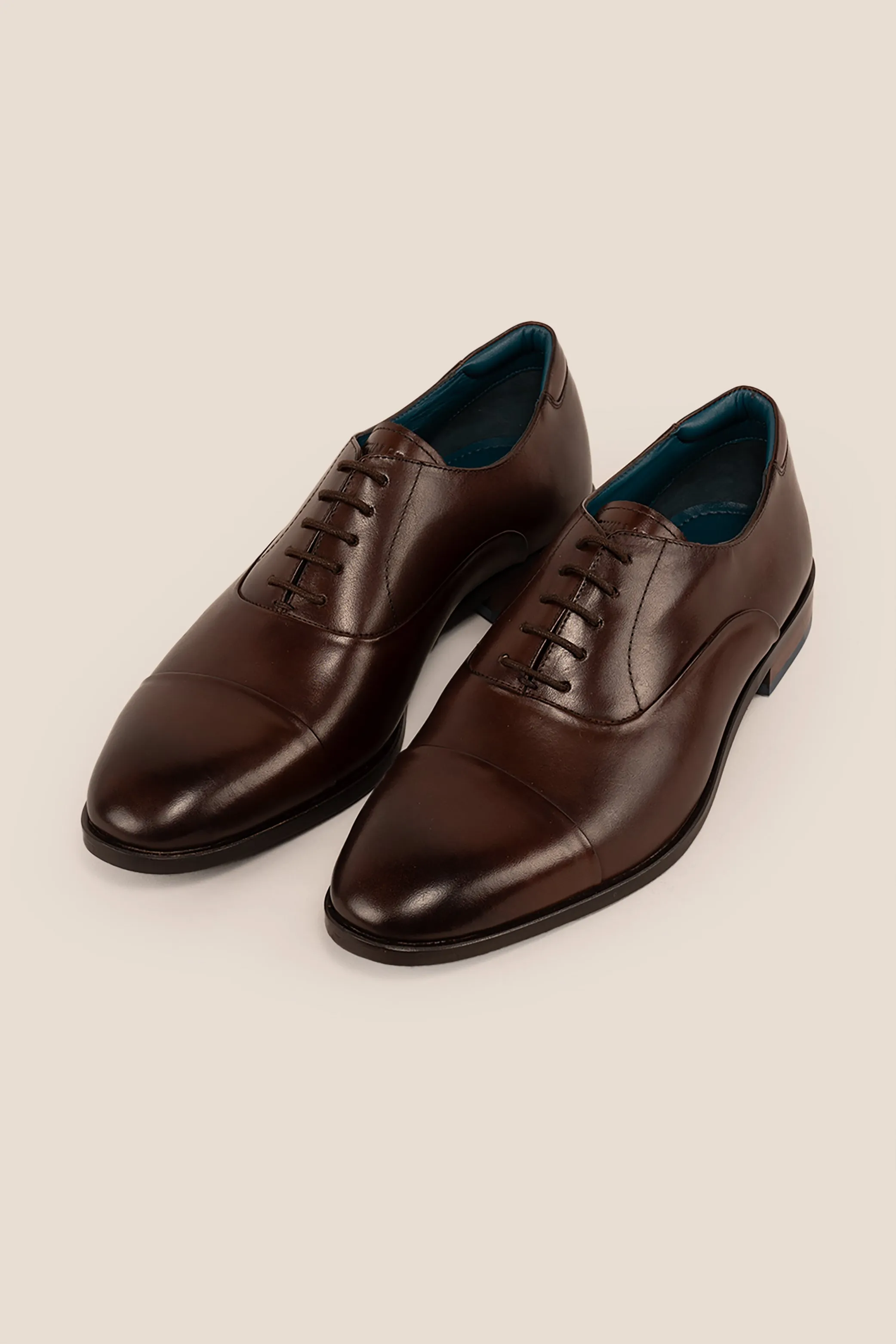 Jarvis Brown Sport Sharp Timeless Appeal.
